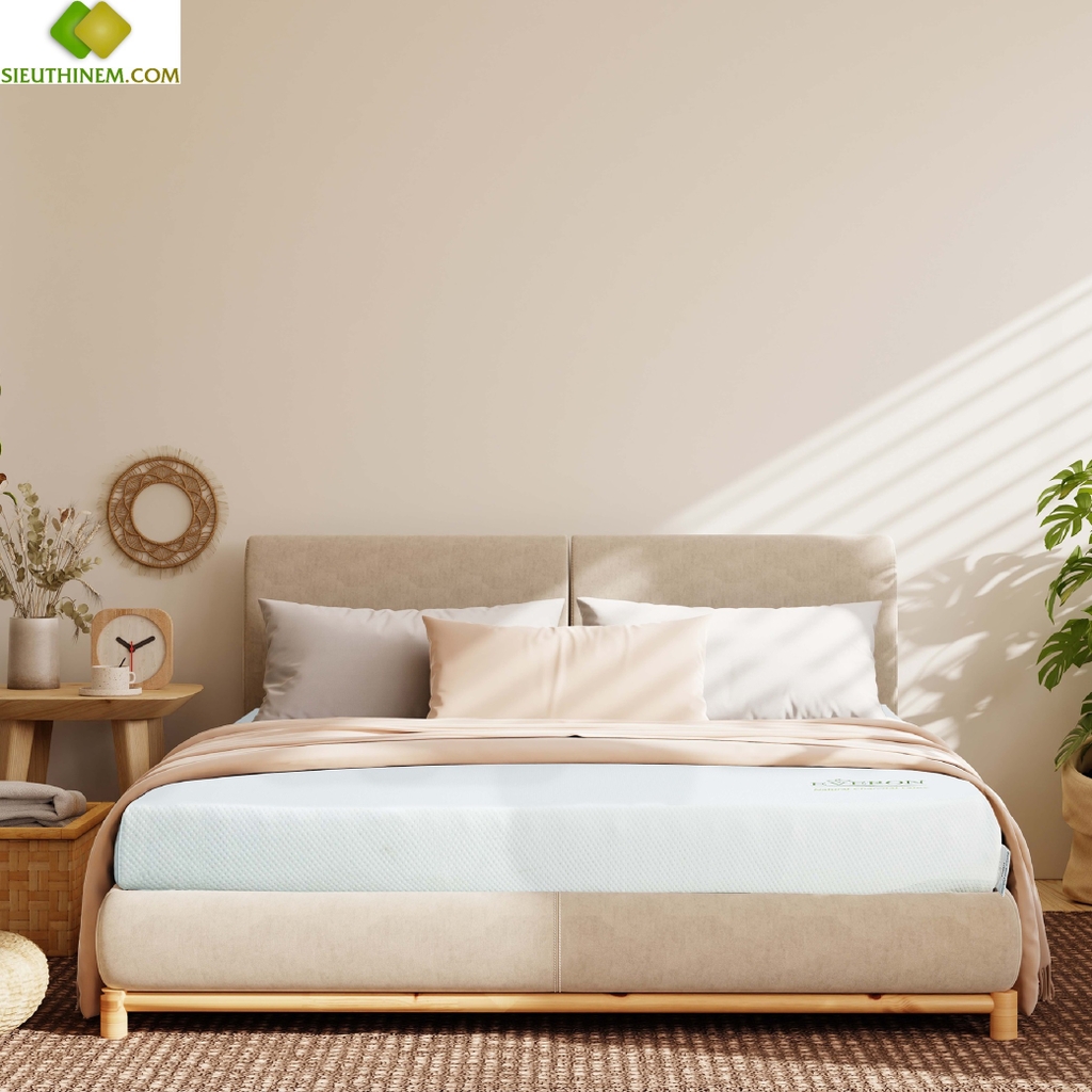 Đệm Cao Su Than Hoạt Tính Everon - Natural Charcoal Latex