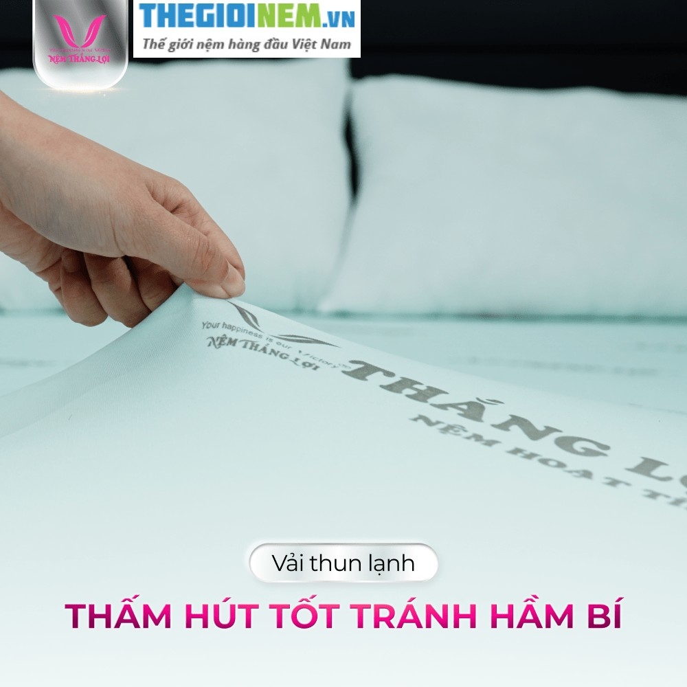 Nệm Cao Su Hoạt Tính Thắng Lợi