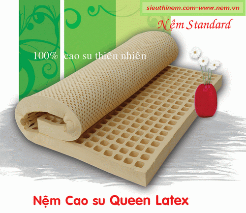 NỆM CAO SU THIÊN NHIÊN VẠN THÀNH - STANDARD