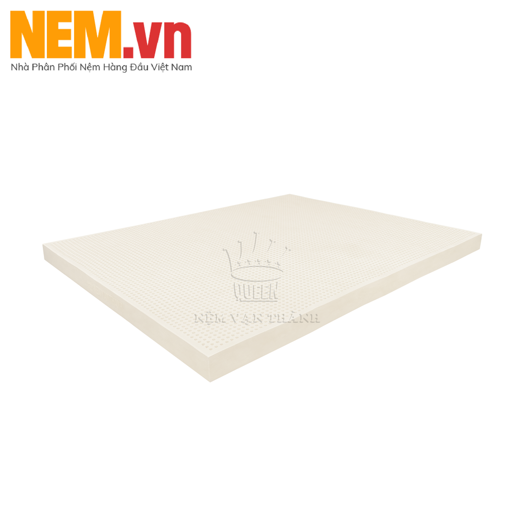 NỆM CAO SU THIÊN NHIÊN VẠN THÀNH - STANDARD