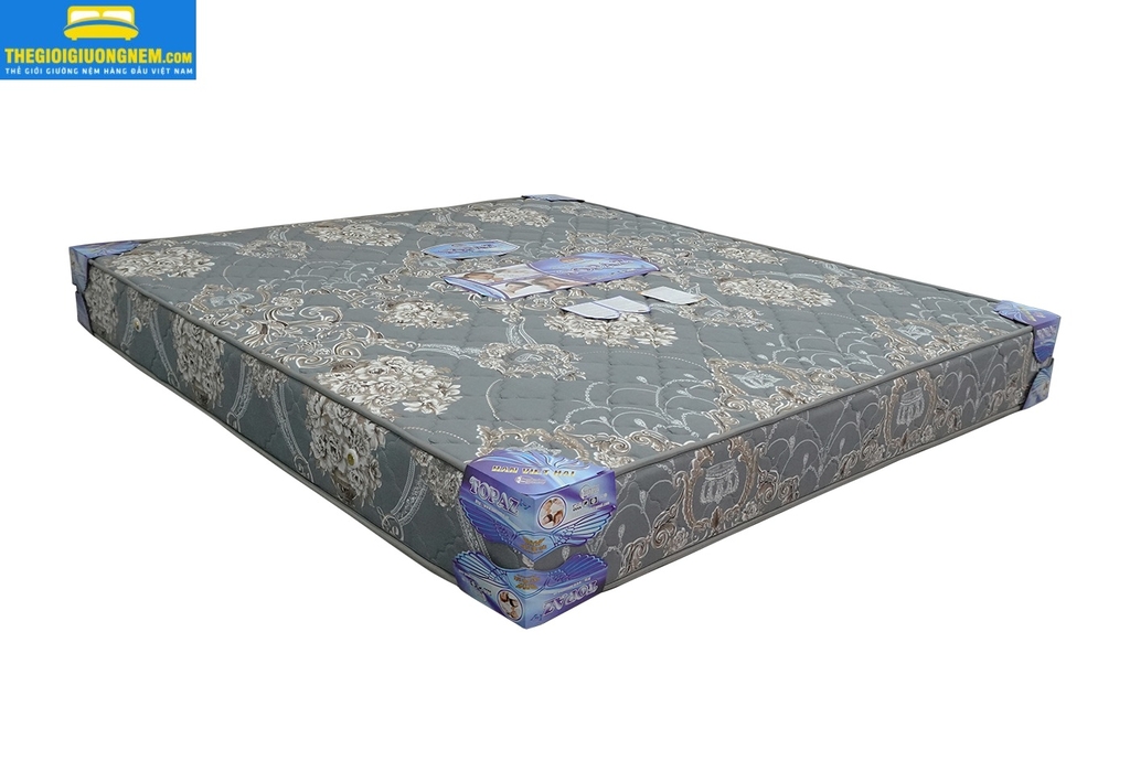 NỆM LÒ XO TOPAZ 2 VIỀN