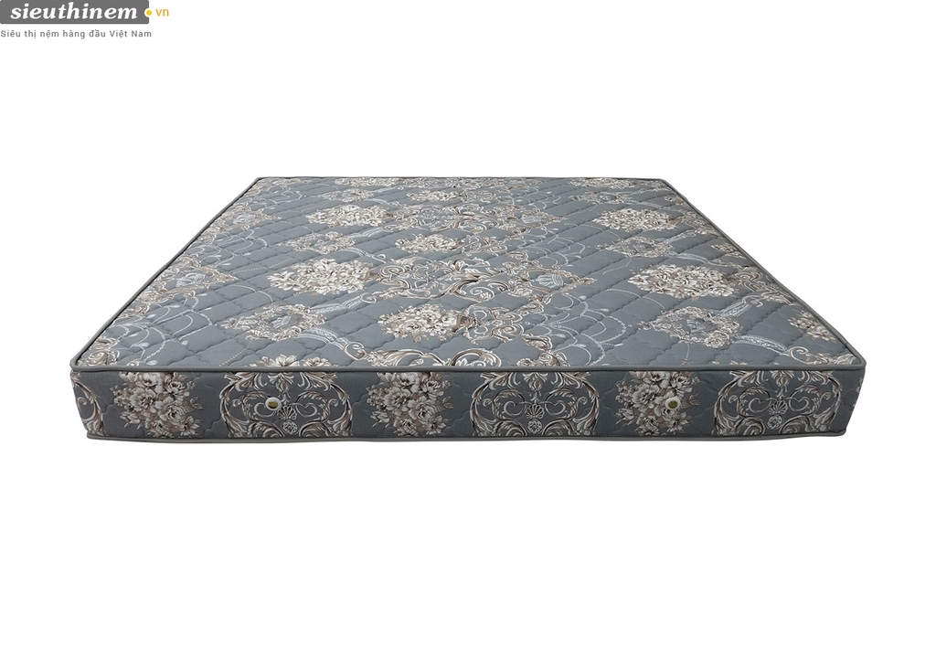 NỆM LÒ XO TOPAZ 2 VIỀN