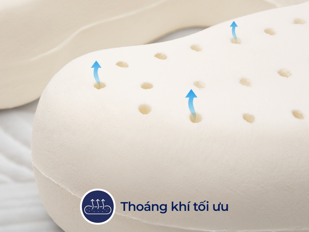 GỐI CAO SU TRAVELMATE LUX - LIÊN Á