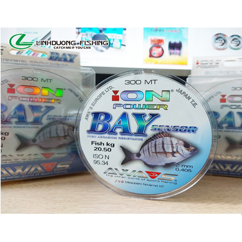 Cước Nhập Khẩu Nhật Bản - ION BAY 300 mét và 500 mét