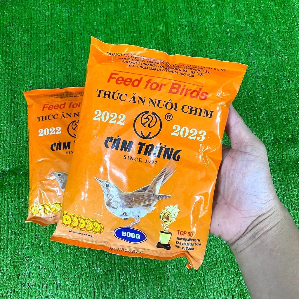 Cám trứng, cám chim ba vì câu cá