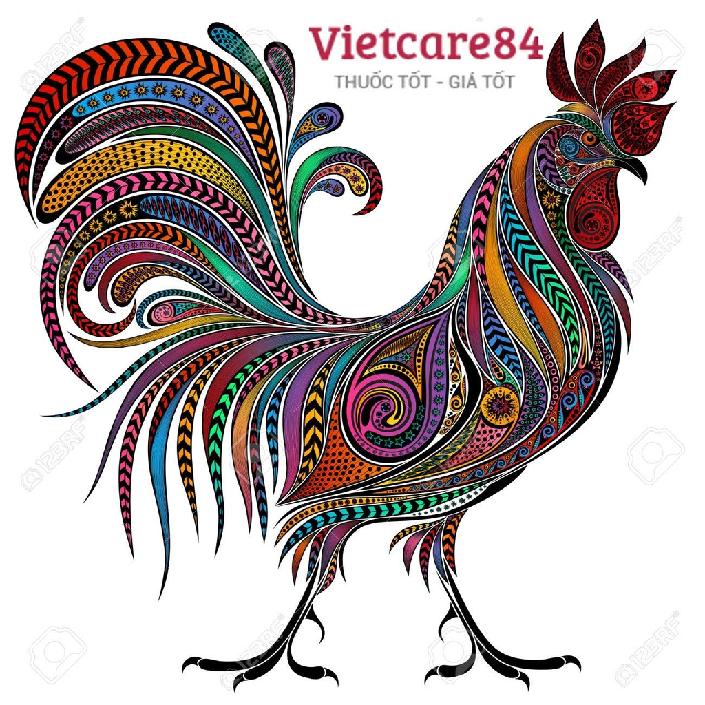 Chúc Mừng Năm Mới