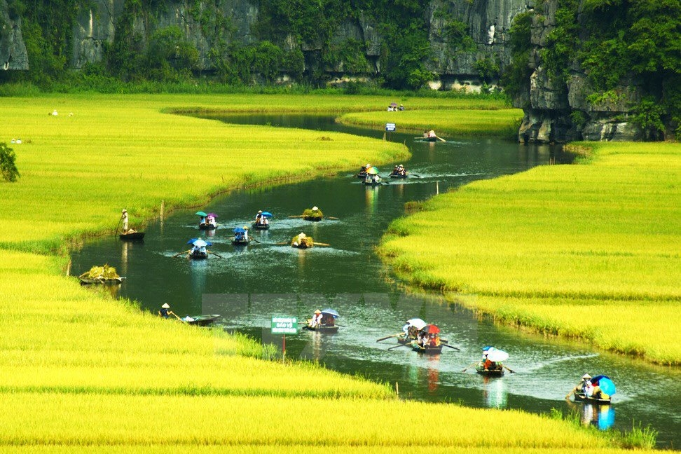 Điểm Mua Hàng Chính Hãng - Ninh Bình