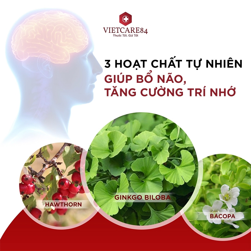 3 Hoạt Chất Tự Nhiên Giúp Bổ Não, Tăng Cường Trí Nhớ