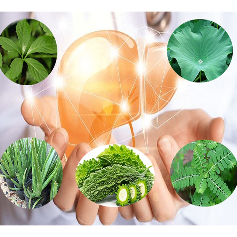 5 Bài Thuốc Tại Nhà Hỗ Trợ Trị Gan Nhiễm Mỡ