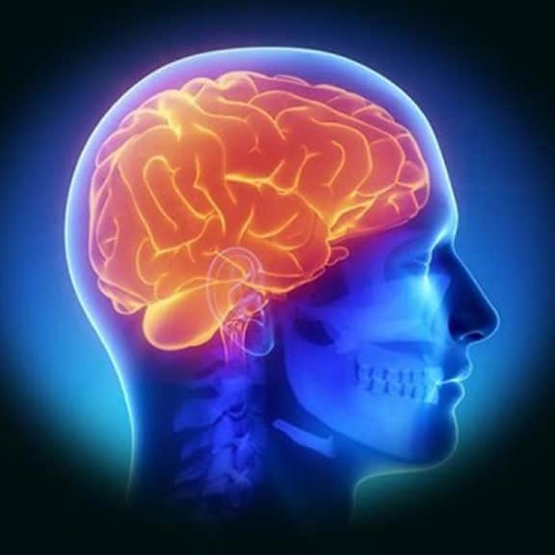 Bảy Bước Để Có Một Bộ Não Khoẻ Mạnh