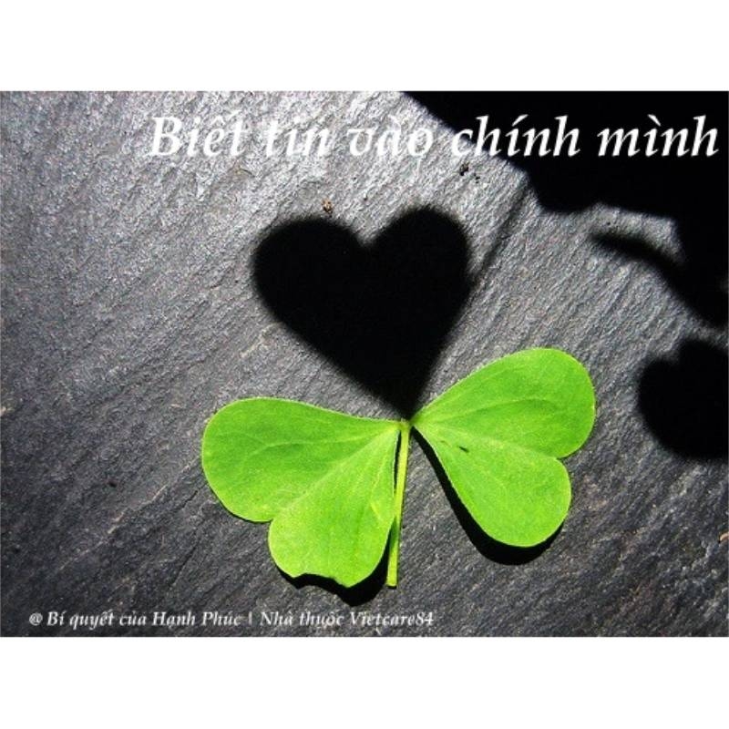 Bí mật của hạnh phúc: biết tin vào chính mình