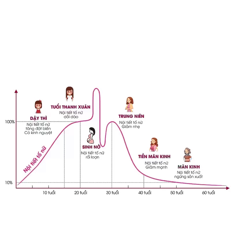 Biểu đồ Tiền Mãn Kinh và Mãn Kinh theo độ tuổi
