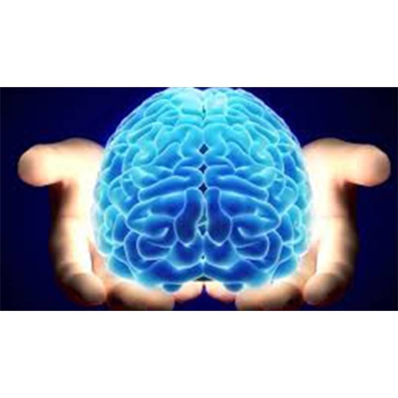Đọc báo giúp bạn: Các dưỡng chất giúp bộ não khỏe mạnh