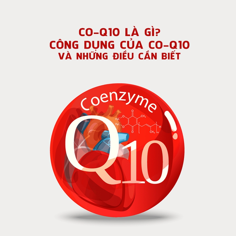 Co-Q10 Là Gì? Công Dụng Của Co-Q10 Và Những Điều Cần Biết