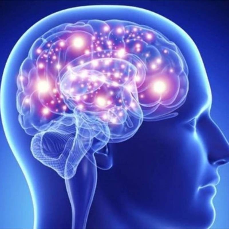 Đọc báo giúp bạn: 8 sự thật thú vị về não bộ
