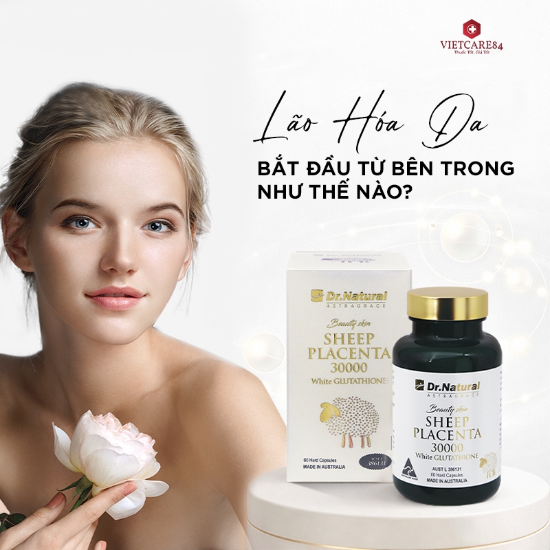 Lão Hóa Da Bắt Đầu Từ Bên Trong Như Thế Nào?