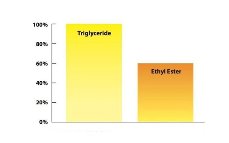 Omega-3 dạng Triglyceride giàu DHA và EPA – lựa chọn thông thái khi bổ sung Omega-3