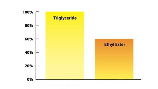 Omega-3 dạng Triglyceride giàu DHA và EPA – lựa chọn thông thái khi bổ sung Omega-3