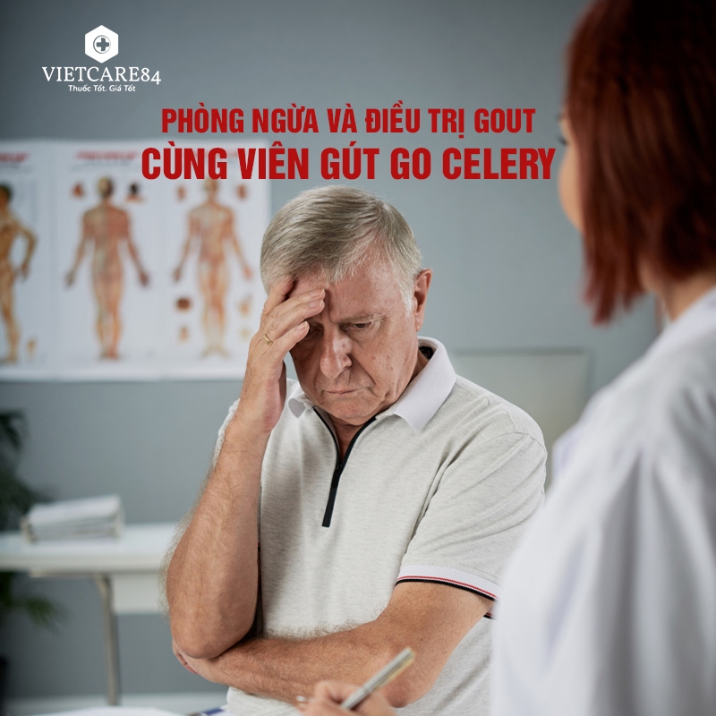 Phòng Ngừa và Điều Trị Gout Cùng Viên Gút Go Celery