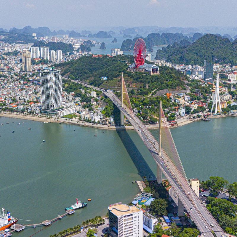 Tôi thấy hoa vàng tại.... Quảng Ninh