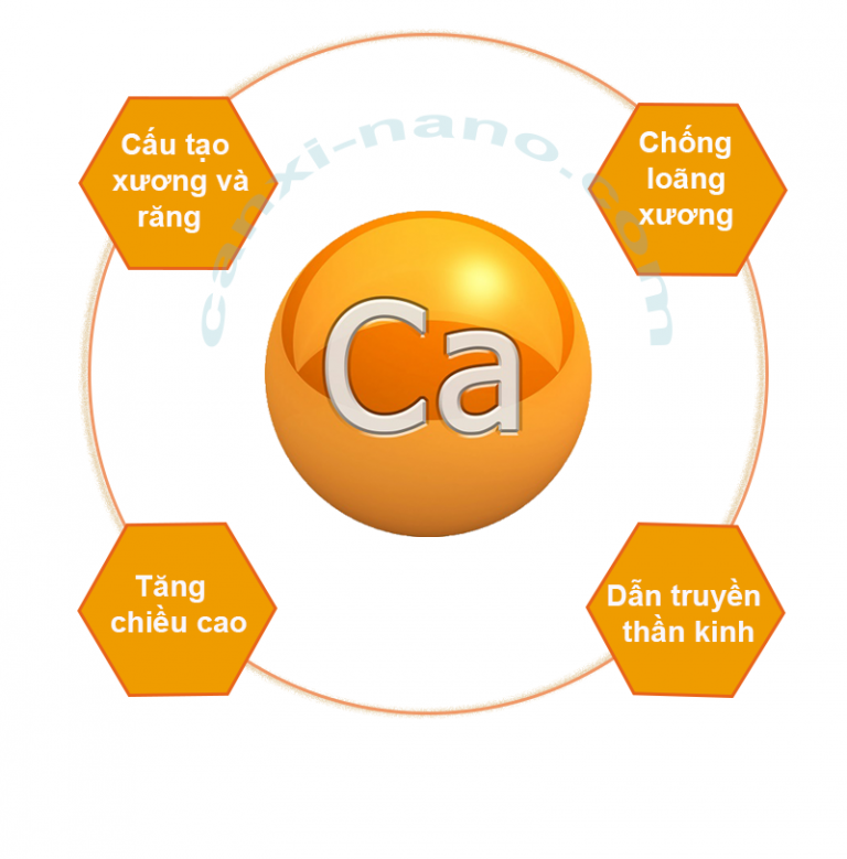 Vai trò của canxi đối với cơ thể quan trọng như thế nào