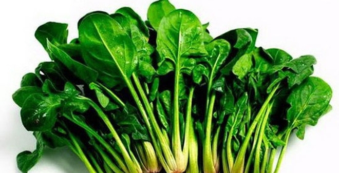 Những thông tin thú vị về cải bó xôi