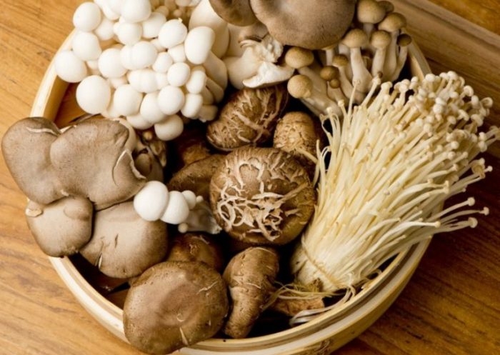 Nấm ăn và nấm thuốc chữa bệnh