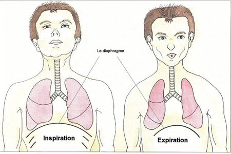 Ngưng thở khi ngủ do tắc nghẽn ngoại biên