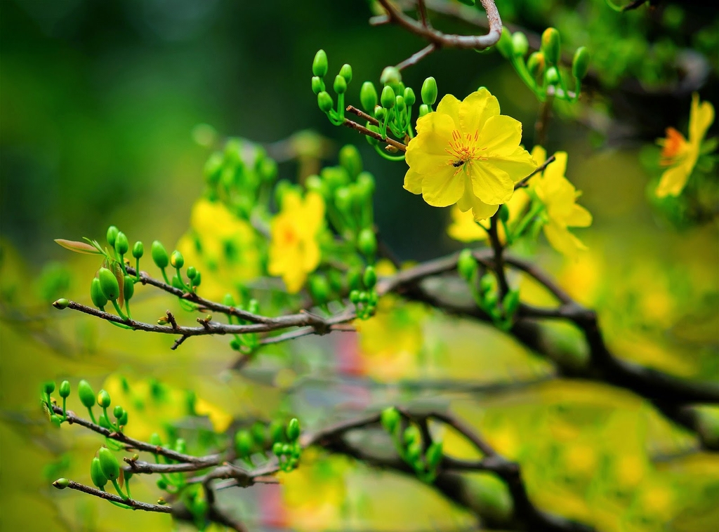 Mùa xuân, ăn gì để cơ thể tươi trẻ?