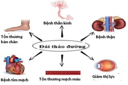 Khác biệt giữa đái tháo đường týp 1 và týp 2