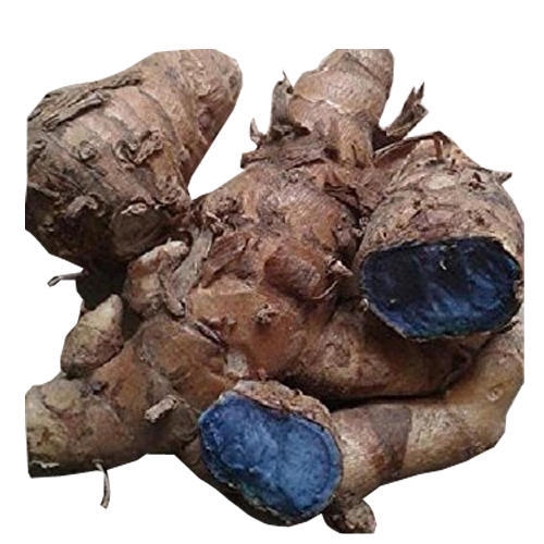 Nghệ đen - Vị thuốc diệu kỳ