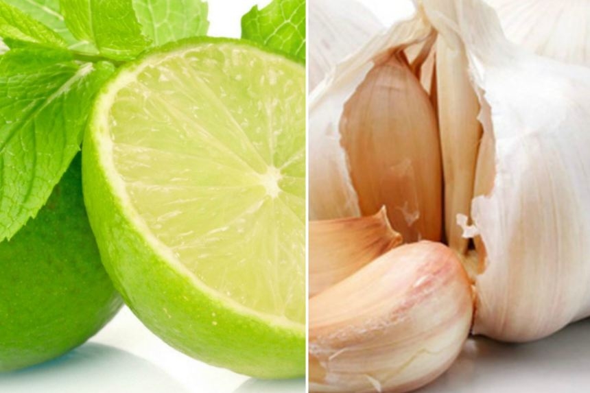 Bật mí 10 triệu chứng gan nhiễm mỡ và dấu hiệu bệnh gan