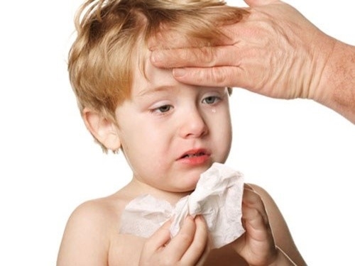 Để hạn chế nhiễm virut cúm, cách gì?