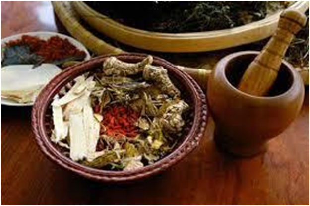 Chữa bệnh ung thư phổi bằng thuốc nam