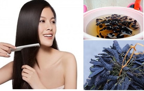Trị tóc bạc sớm cực hay từ tự nhiên