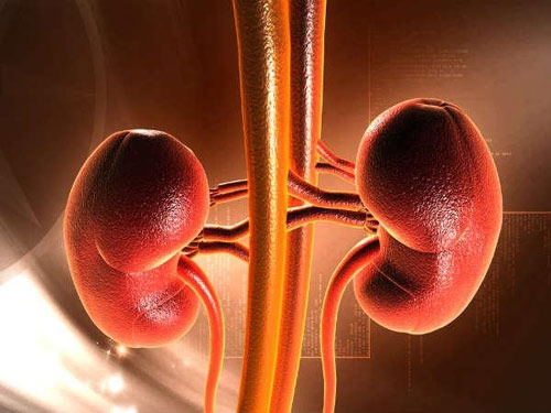 Điều kì diệu gì đã xảy ra khi tôi uống nước dừa với mật ong?