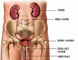 Viêm bàng quang do “chuyện ấy”