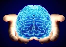 Bật mí cách chăm sóc sức khỏe não bộ