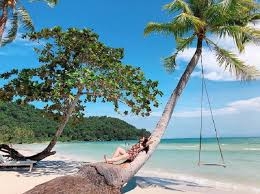 Đẹp mê hồn “vương quốc sao biển” ngay ở Phú Quốc