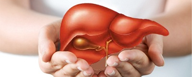 4 Lý Do Nên Tầm Soát Bệnh Viêm Gan Mạn