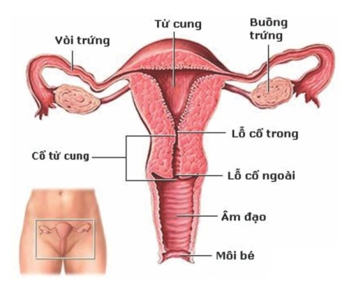 Những kẻ khuấy rối vô hình