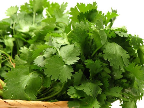 Mùa hè đến rồi, ai hay nhiệt miệng phải dùng ngay những cách tự nhiên này
