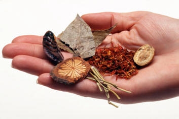 Nguy hiểm từ ngộ độc thuốc Nam