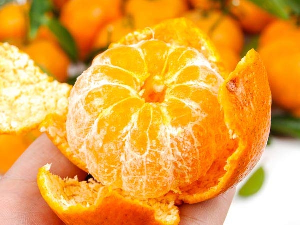 Sau khi đọc bài này, bạn sẽ không bao giờ vứt vỏ cam đi