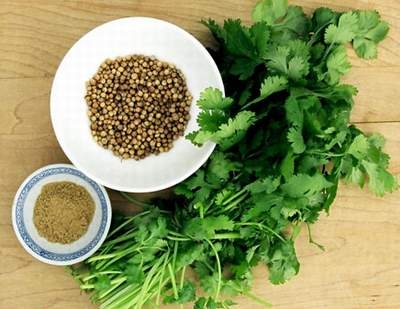 Những tác dụng tuyệt vời của rau mùi ngày Tết