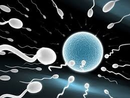 Những thói quen ảnh hưởng tới tinh trùng