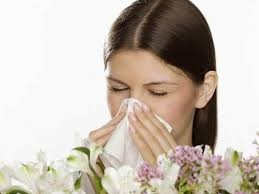 3 bài thuốc chữa viêm mũi dị ứng