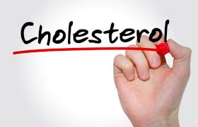 Cholesterol tốt và xấu