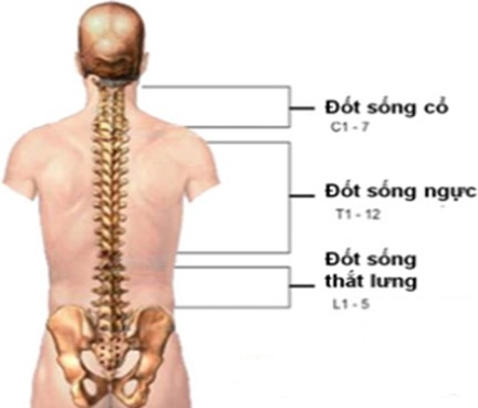 Nguyên nhân gây đau cột sống thắt lưng