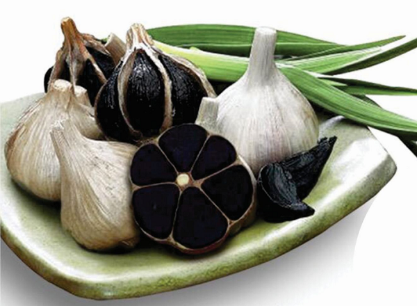 Những bài thuốc hay từ tỏi đen
